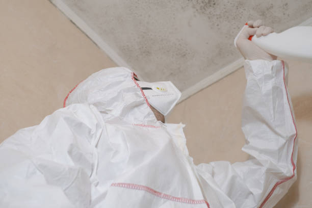 Best Industrial Mold Remediation in West Tawakoni, TX