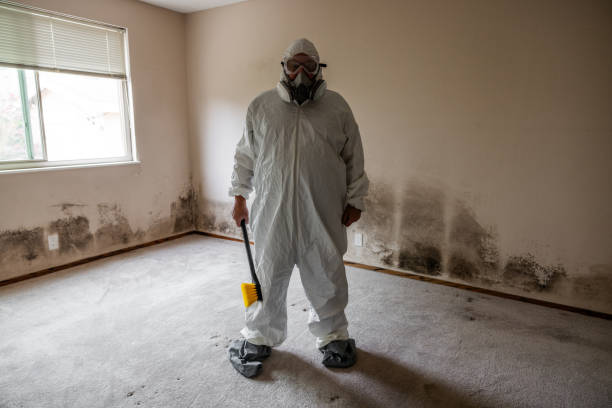 Best Mold Remediation for Specific Building Types in West Tawakoni, TX